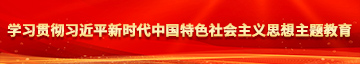 日女人大黑逼学习贯彻习近平新时代中国特色社会主义思想主题教育